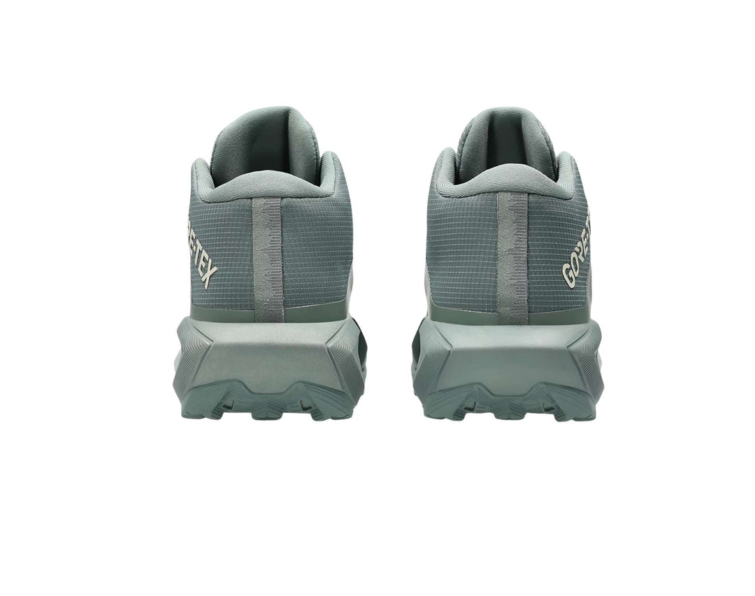 Chaussures de trail Asics GEL-Trabuco MT GTX pour femmes