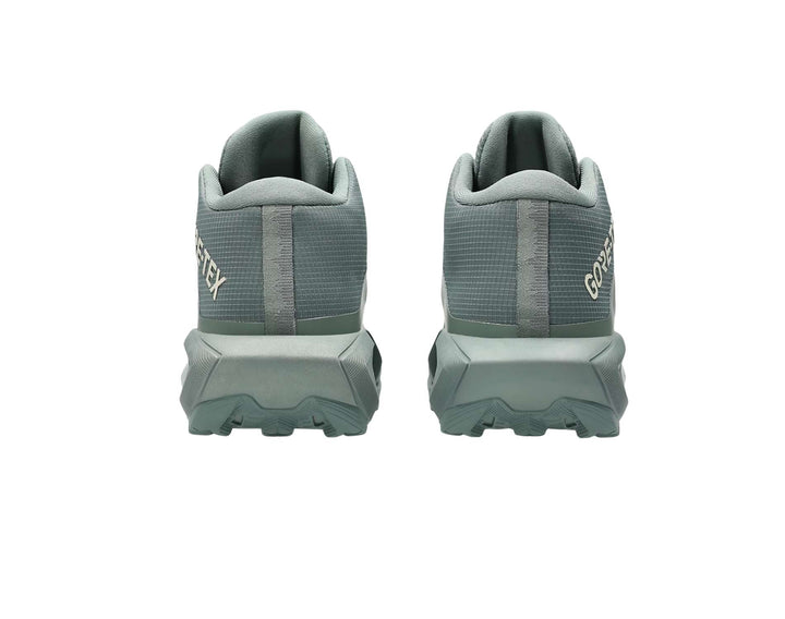 Chaussures de trail Asics GEL-Trabuco MT GTX pour femmes