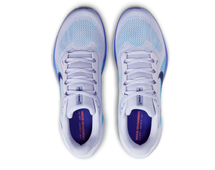 Zapatillas de Running para Hombre Nike Pegasus 41