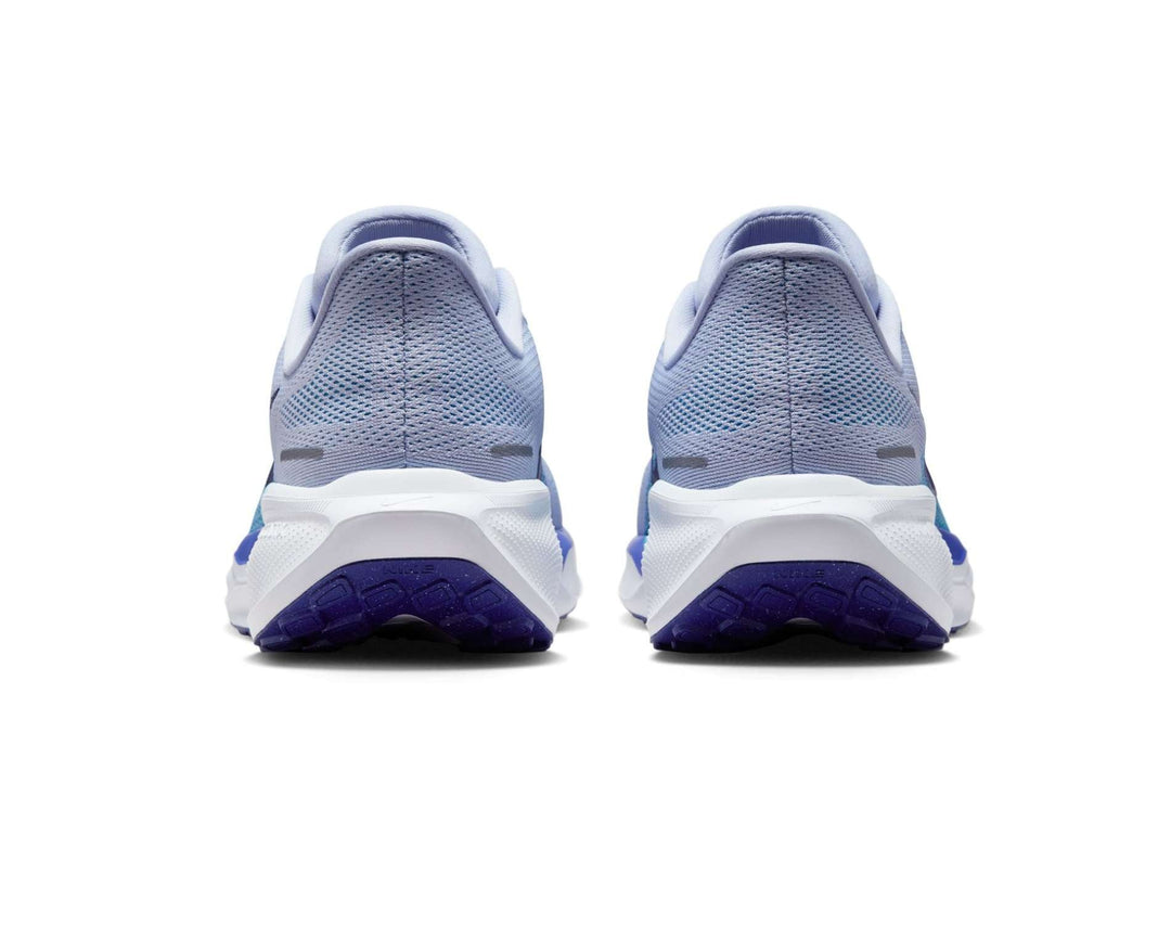 Zapatillas de Running para Hombre Nike Pegasus 41