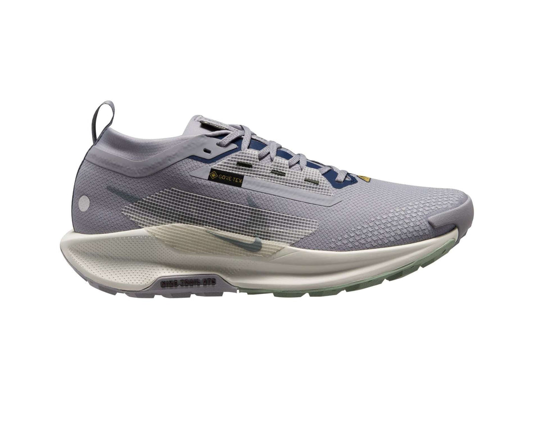 Chaussures de trail GORE-TEX pour hommes Nike Pegasus Trail 5